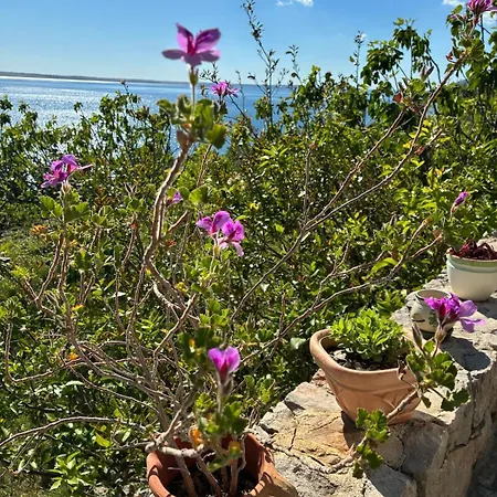 Private Stone House - Sea View - Peaceful * Starigrad Paklenica